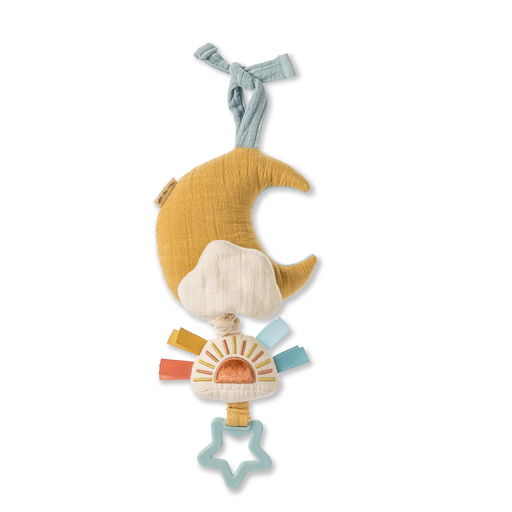 BITZY NOTES MUSICAL TOY