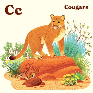 ANIMALS OF THE NATIONAL PARKS BOOK