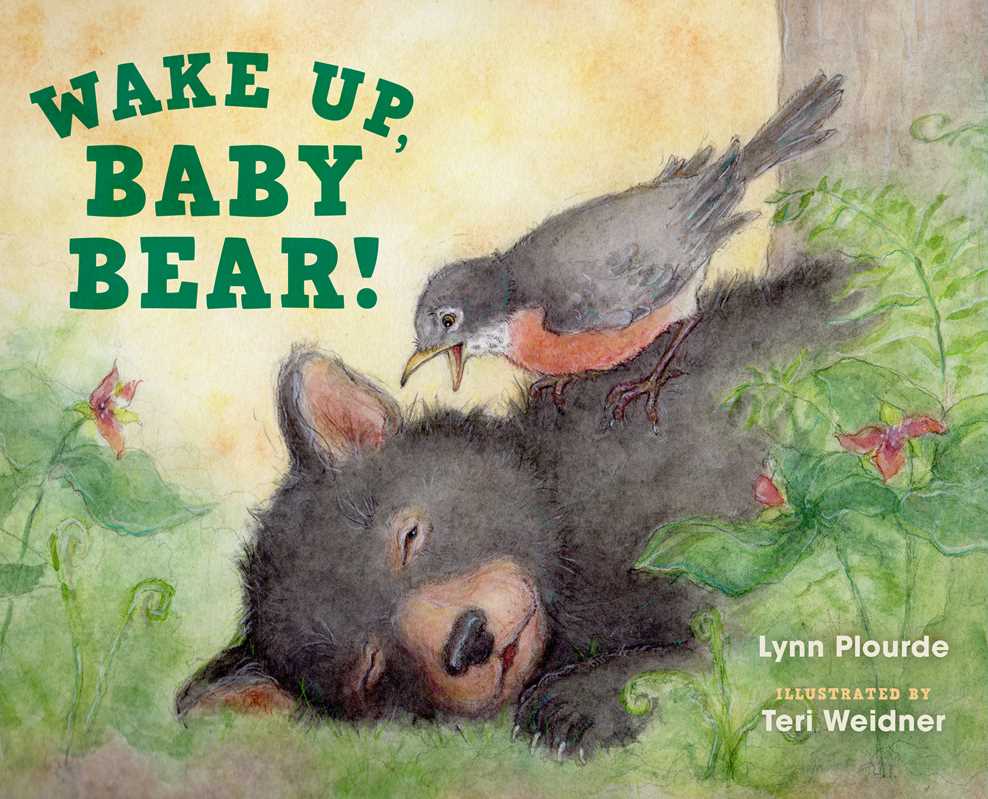 WAKE UP, BABY BEAR! - BOOK