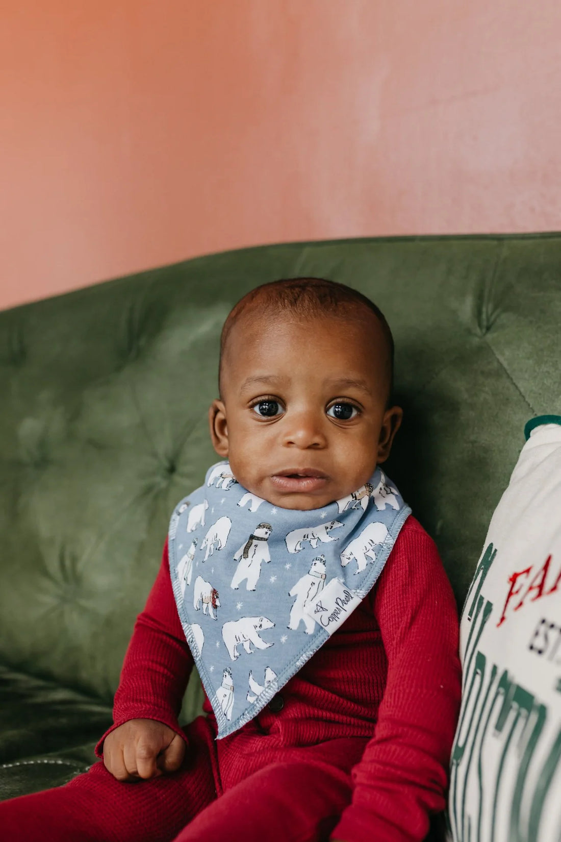 BABY BANDANA BIBS - POLAR