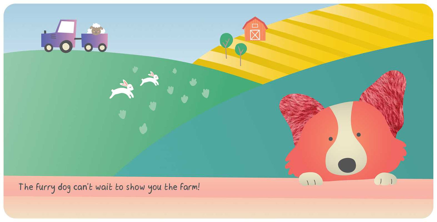 FARM ANIMALS TOUCH + FEEL BOOK