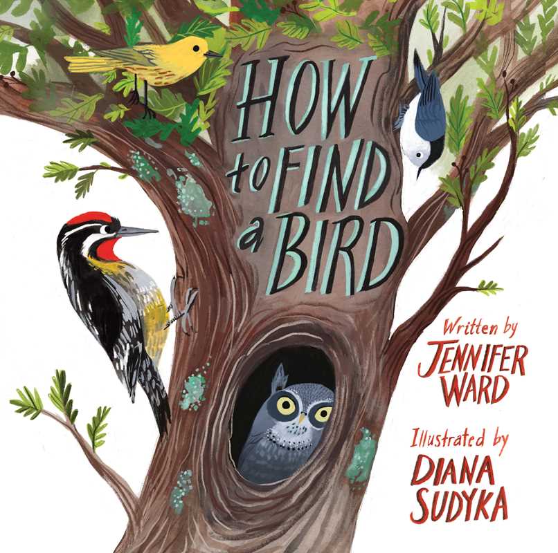 HOW TO FIND A BIRD - CHILDREN&
