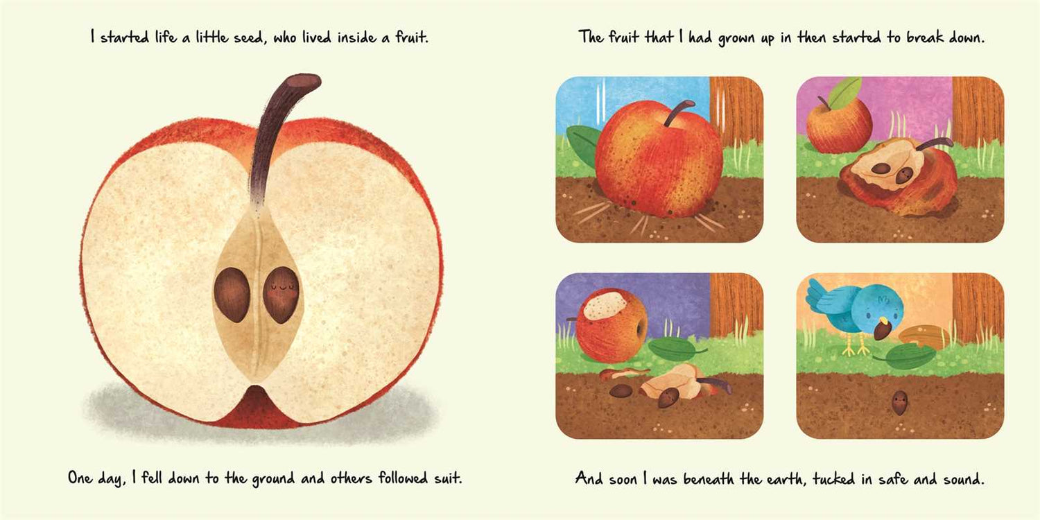 LITTLE APPLE TREE - NATURE STORIES BOOK