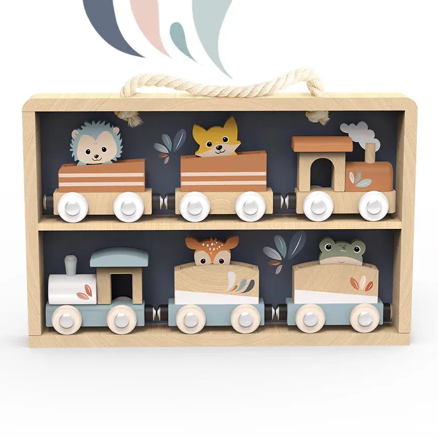 TRAIN SET DISPLAY CASE