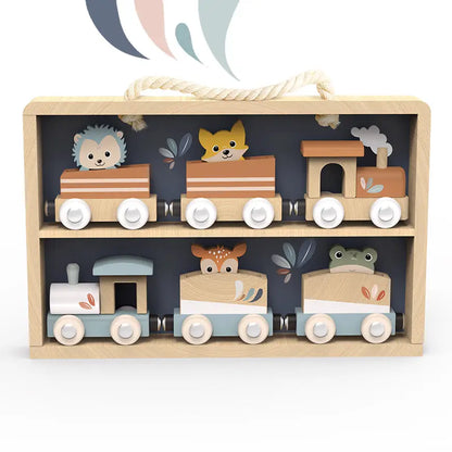 TRAIN SET DISPLAY CASE