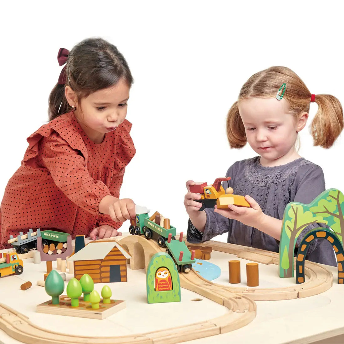 WILD PINES TRAIN SET