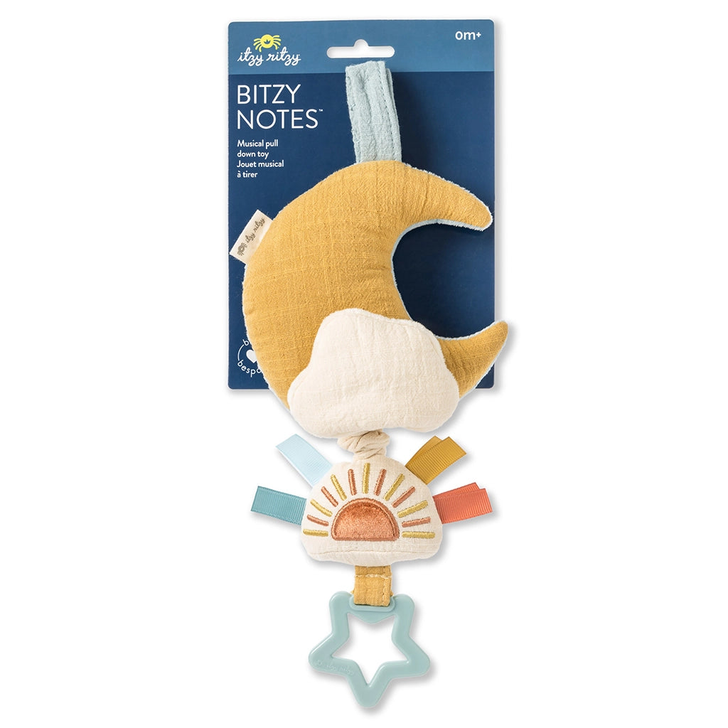 BITZY NOTES MUSICAL TOY