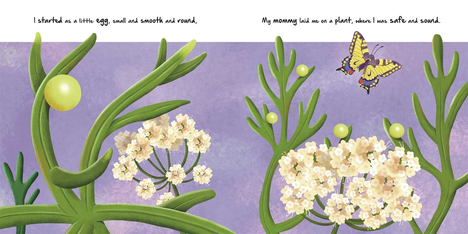 LITTLE CATERPILLAR - NATURE STORIES BOOK