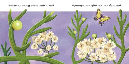 LITTLE CATERPILLAR - NATURE STORIES BOOK