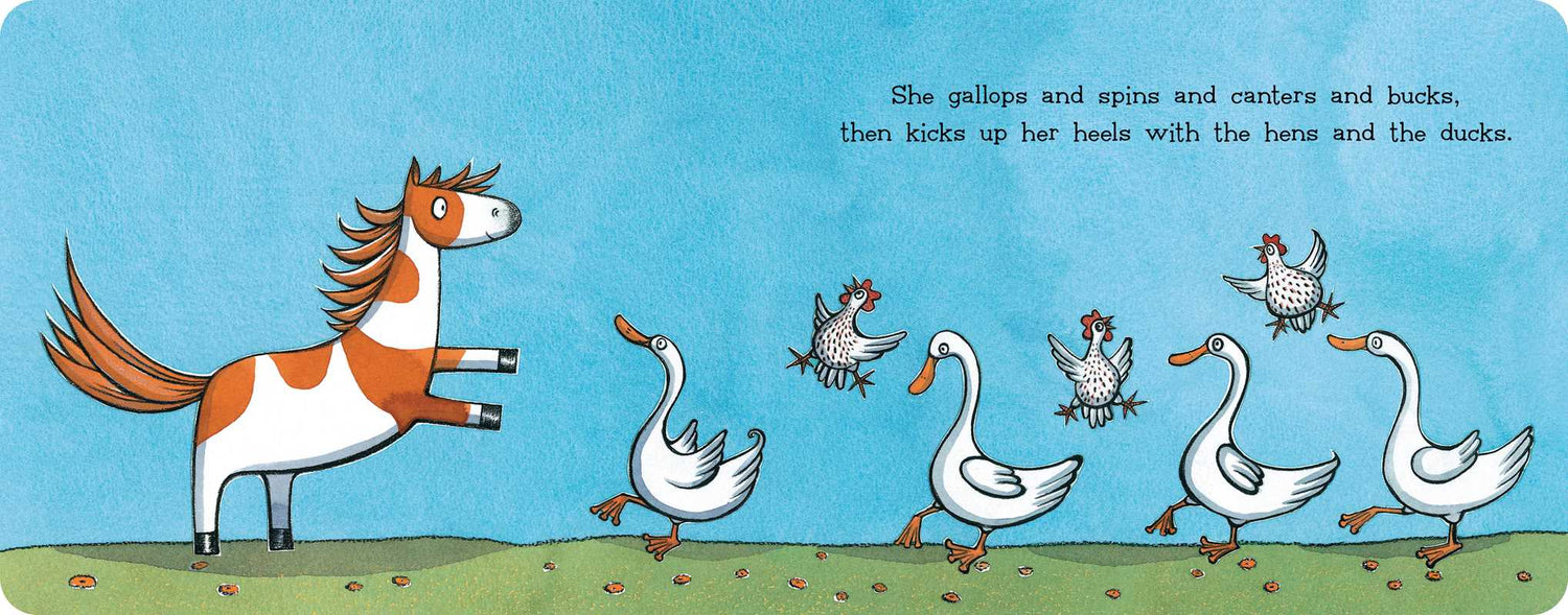 NONI THE PONY - BOOK