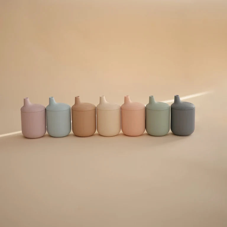 SILICONE SIPPY CUP